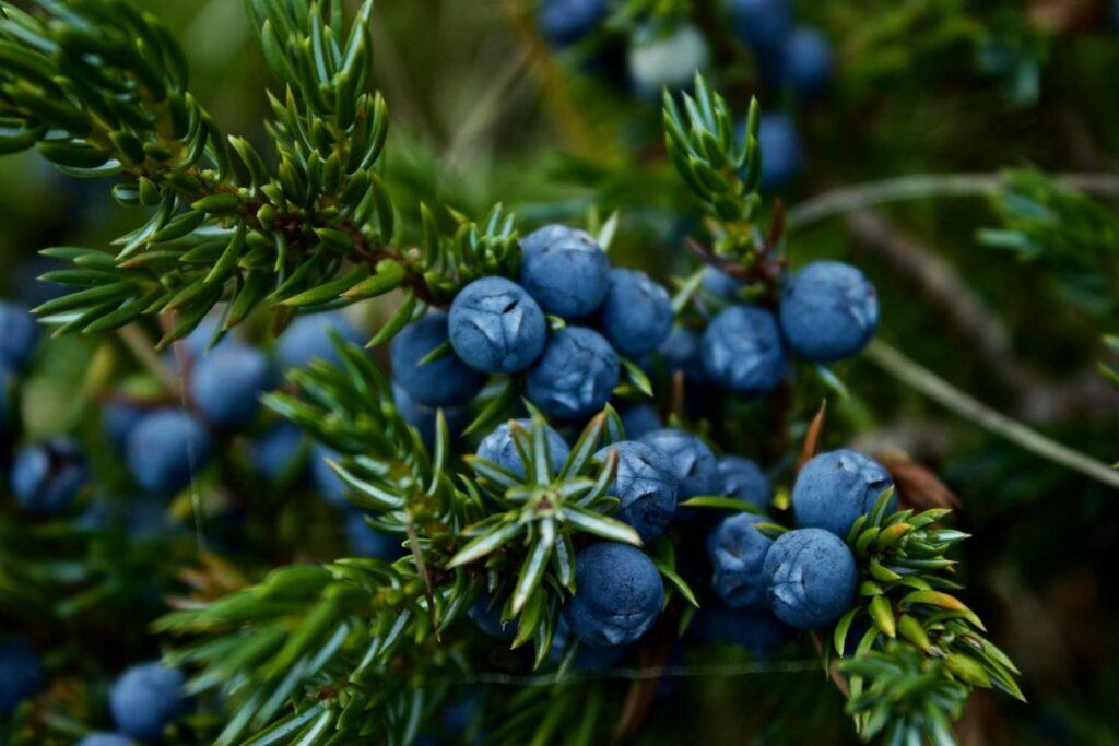 Discover the best fitness-boosting foods for women—superfoods, protein-rich meals, and energy-enhancing snacks for beauty lovers, brides, students, and busy professionals. Improve strength, glow, and wellness with these must-eat foods!